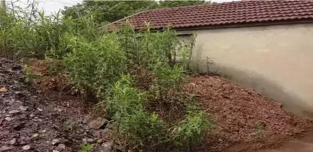 重返旧居，时光风化家具留下的历史印记