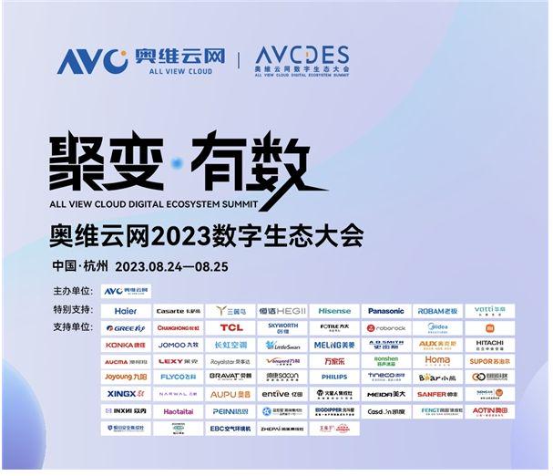2024年10月20日 第11页
