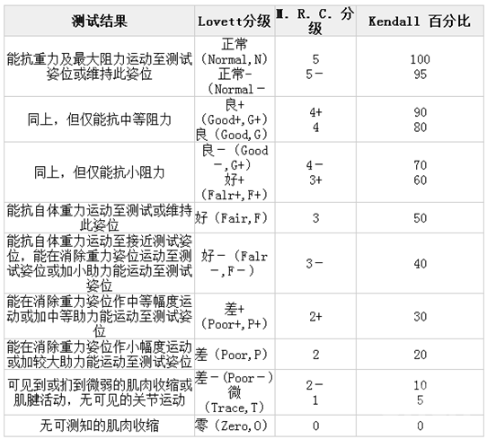 2024年10月24日 第42页