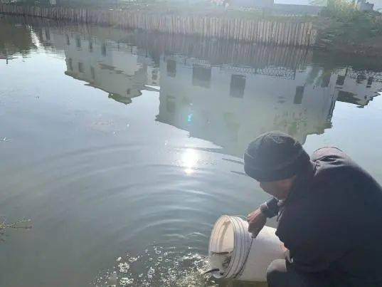 咸阳最新放鱼资讯,咸阳水域生态恢复