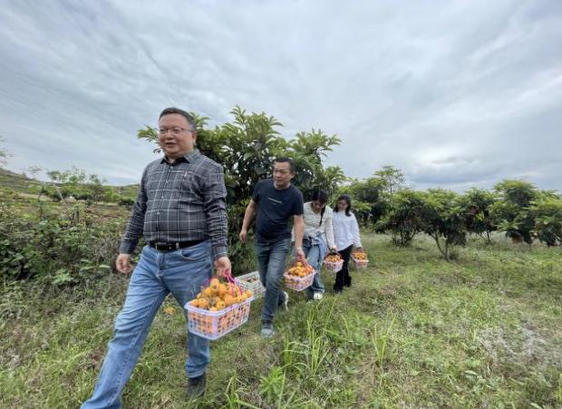 晴隆长流最新的山歌,晴隆长流