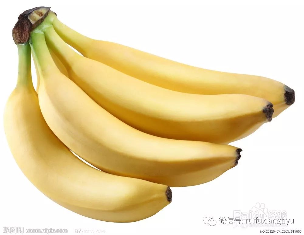 郑钦文的独特选择，偏爱香蕉尖端的独特偏好