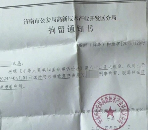 天津犬证办理指南，最新流程与概述