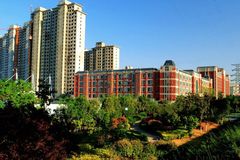 宜阳文兴水尚最新价格发布，26日最新动态及价格信息
