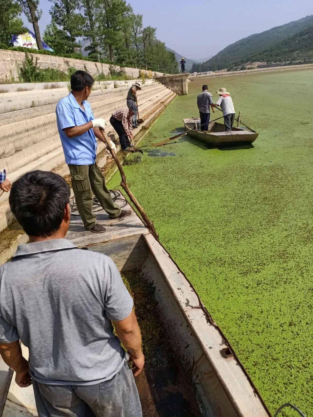 霸球道的兴起与最新动态（28日更新）