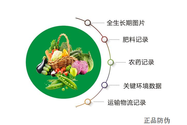 探寻自然美味，心灵与食品的30日溯源之旅最新奇遇