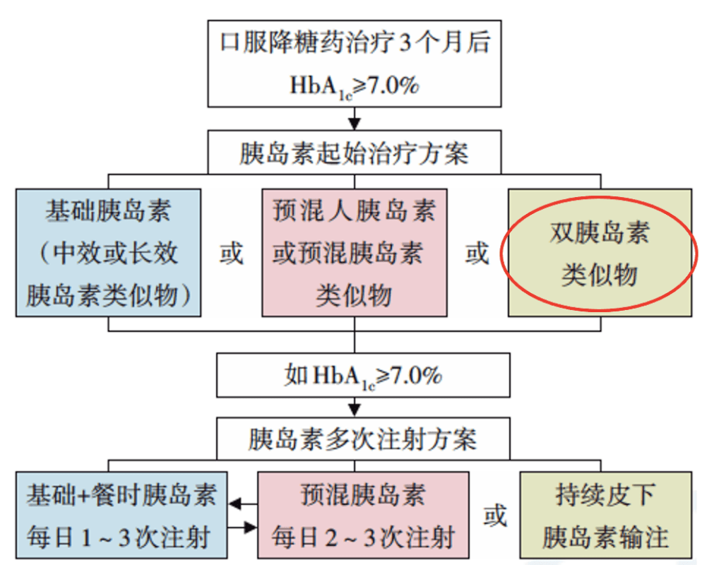 汉巴南最新动态解析，深度解读与观点阐述