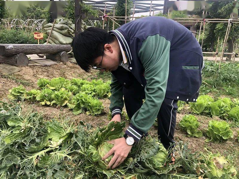 草裙舞动间的爱与陪伴，最新草裙网站31日温馨日常分享