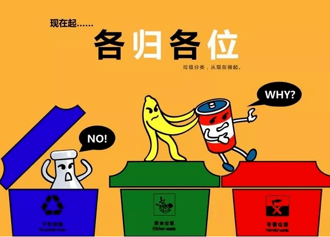 小红书带你深入了解，深圳垃圾分类新篇章（重磅更新）