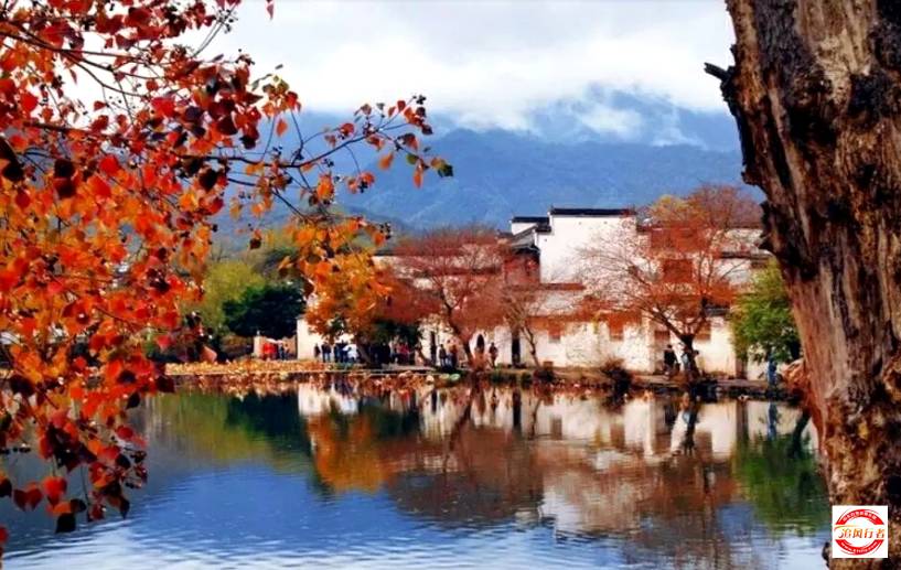 林采宜秋日秘境之旅，与自然共舞，探寻内心宁静平和的旅程