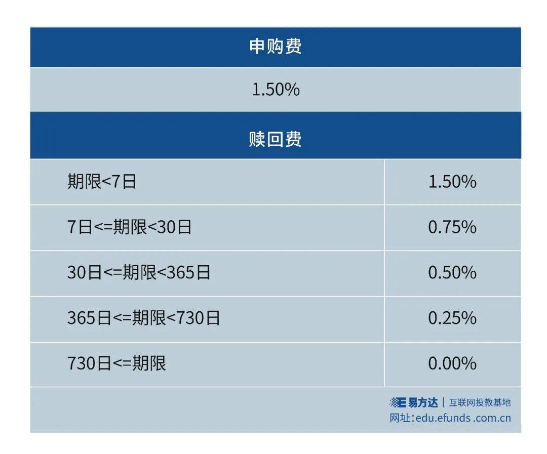 11月最新黄瓜价格指南，购买策略与市场达人之路