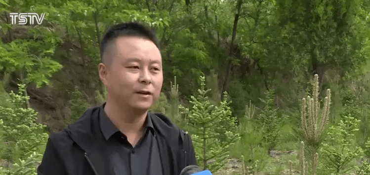 解读最新土改政策，农村未来变革揭秘！