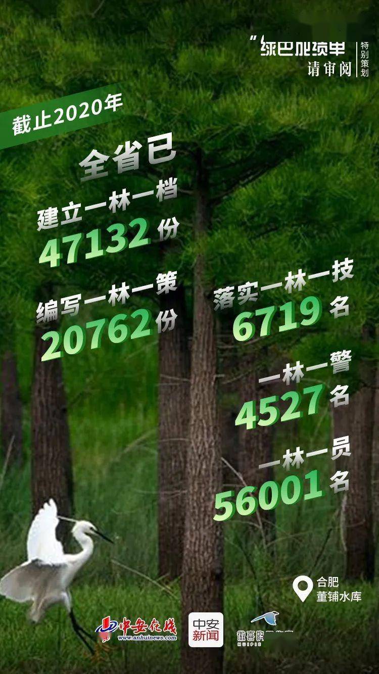 探秘小巷深处的绿色守护者，11月4日防治方案体验与揭秘