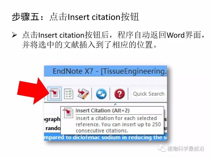 最新显微技术操作指南，从入门到进阶（更新版）
