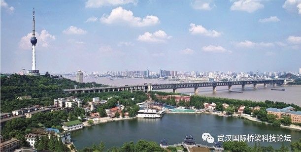 11月6日武汉江滩最新水位，多方观点深度解析与个人立场