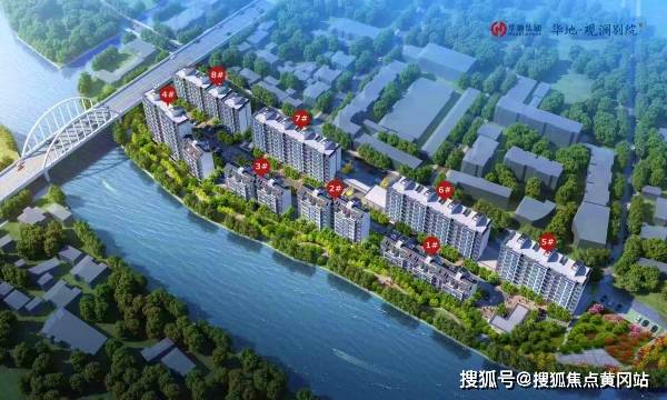 揭秘在线探花观看，详细指南与风险警示