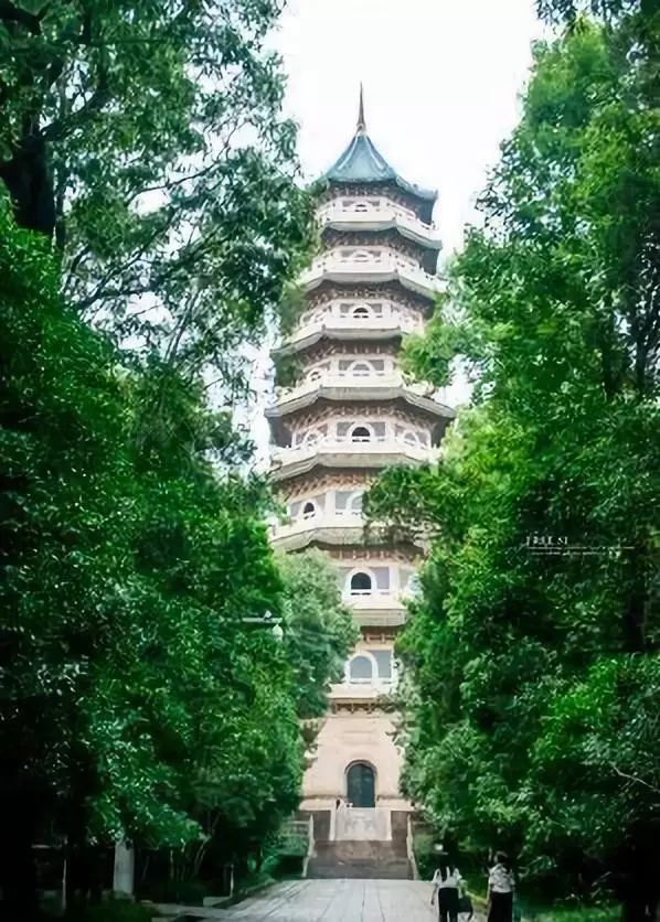 揭秘小次郎新动向，最新地址背后的故事与影响（11月6日更新）