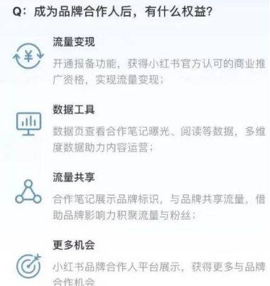 11月6日最新小说更新指南，掌握更新技巧，轻松跟随阅读新篇章