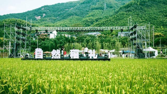 沁后村大学城，自然美景之旅的心灵觉醒最新消息报道