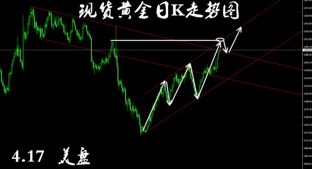2024年11月11日 第23页