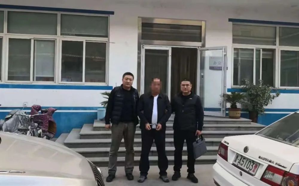 阳新打拱最新版深度测评与介绍，最新更新解析（2024年）