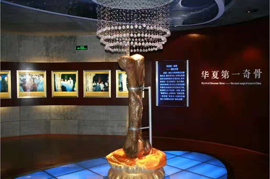 历史上的11月12日，探寻天爱的最新篇章