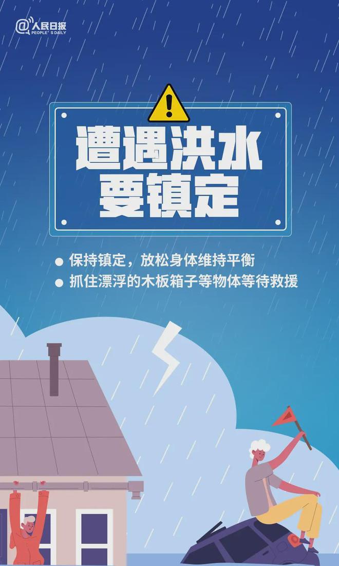 2024年11月15日 第17页