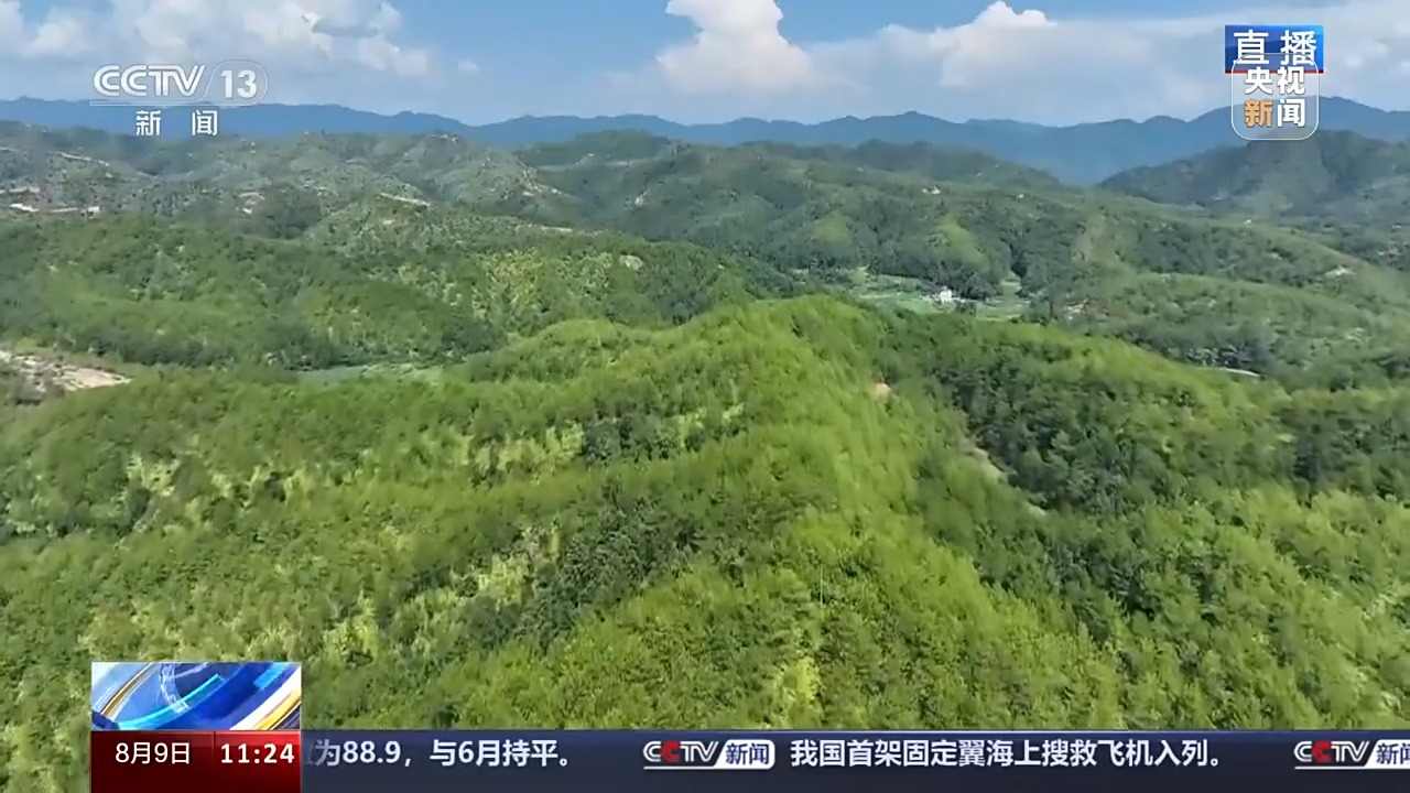 2024年11月16日 第21页