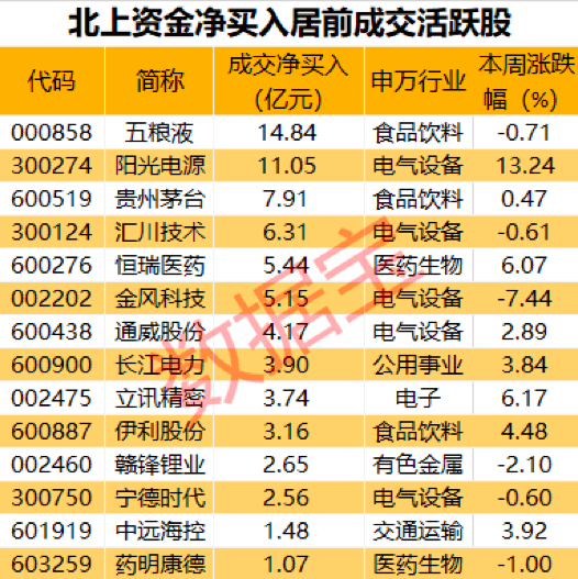 揭秘聊城新动向，11月诺最新发展概览