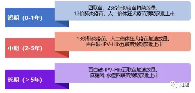 往年11月16日日本新冠肺炎最新消息深度解析与评测