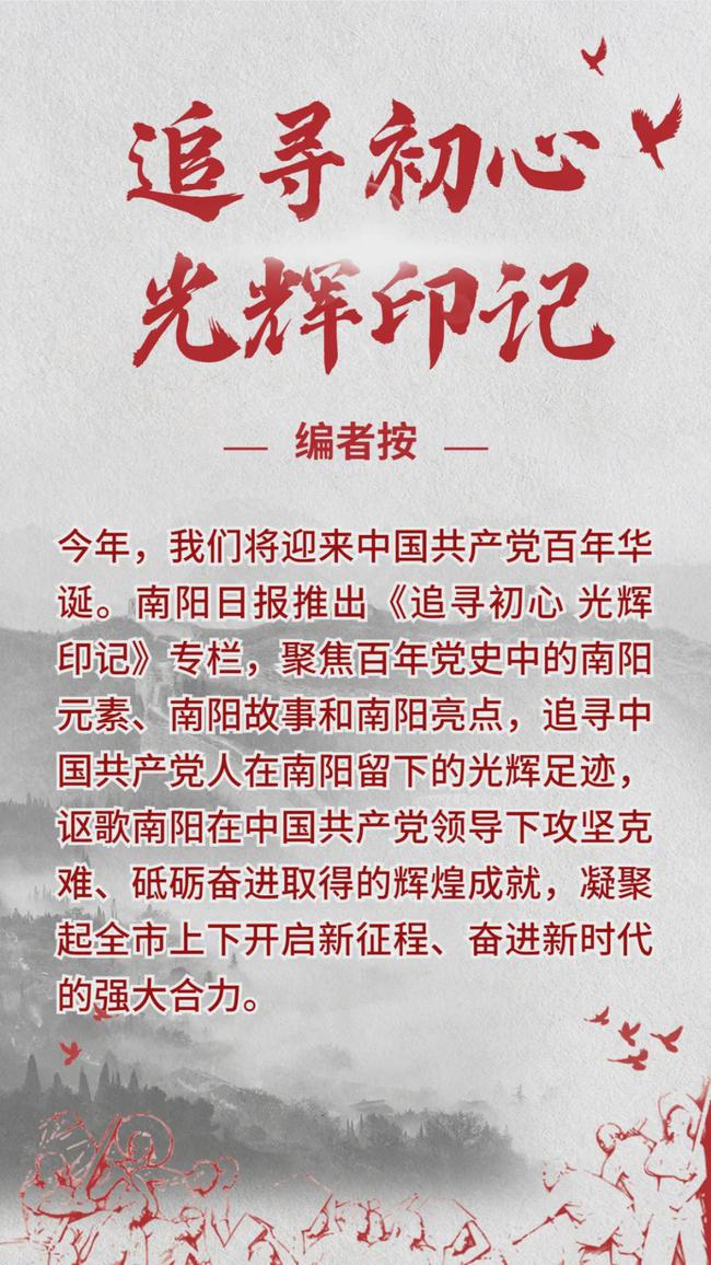 揭秘最新玩具网，十一月十七日的辉煌印记回顾与揭秘