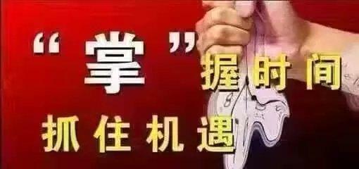 揭秘历史加盟黄金日，最新代理加盟项目背后的故事与机遇，重磅推出！
