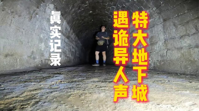 河北小巷深处的隐藏瑰宝，11月最新病表带你探秘独特小店的神秘面纱