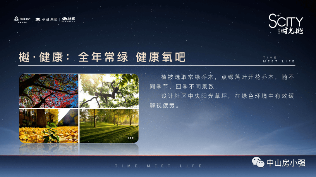 最新章节解析，11月烟火——观点阐述与个人立场探讨