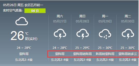 2024年11月29日 第20页