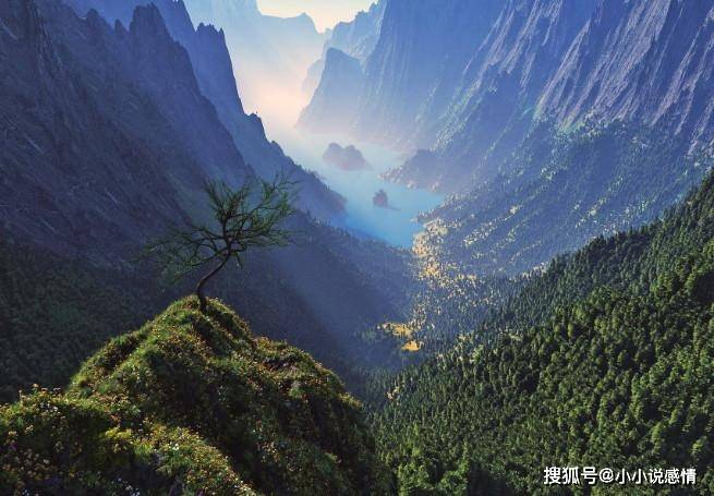 富士山实时概况与壮丽景色，自然魅力的领略之旅