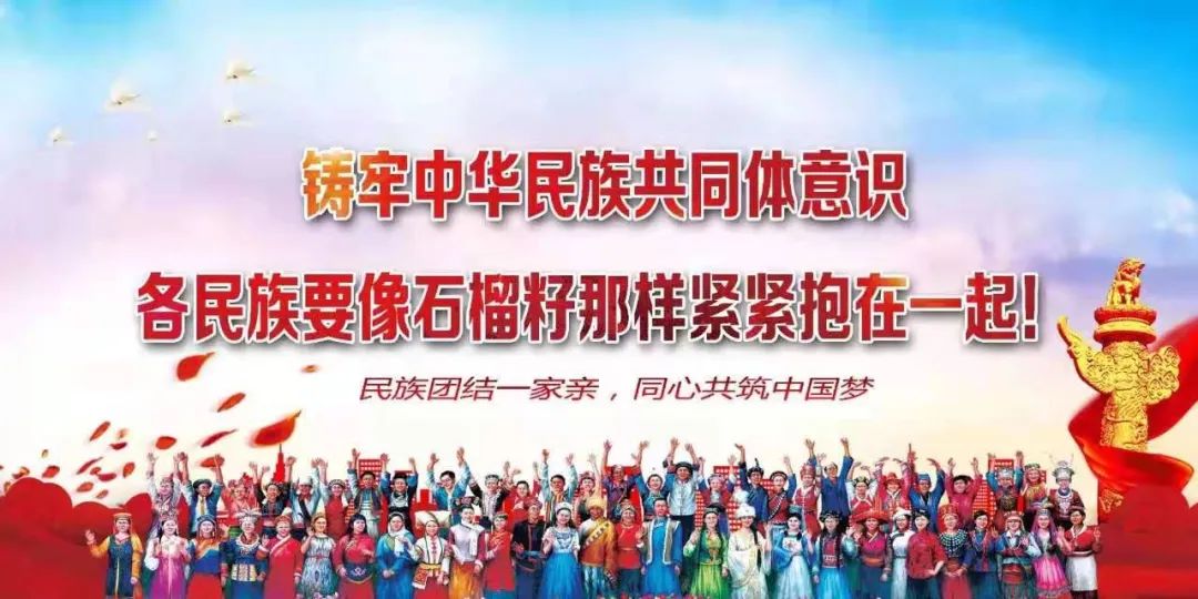 疫情最新动态与信息汇总，实时更新、图片解读关键信息
