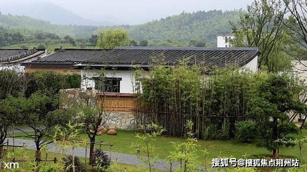 最新图床图流行趋势与特点深度解析