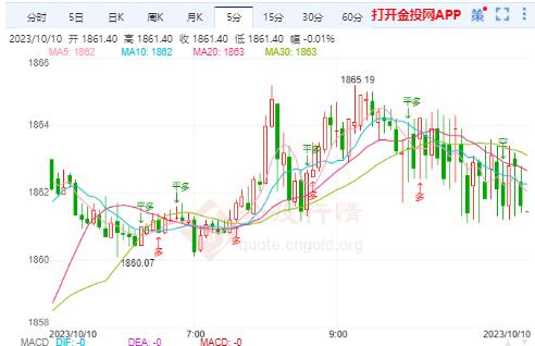 嵩县今日黄金价格实时查询，市场走势分析与投资洞察