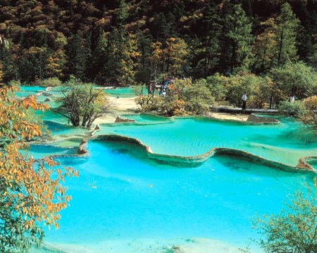 九寨沟实时生态之旅，探索自然之美，守护绿色力量