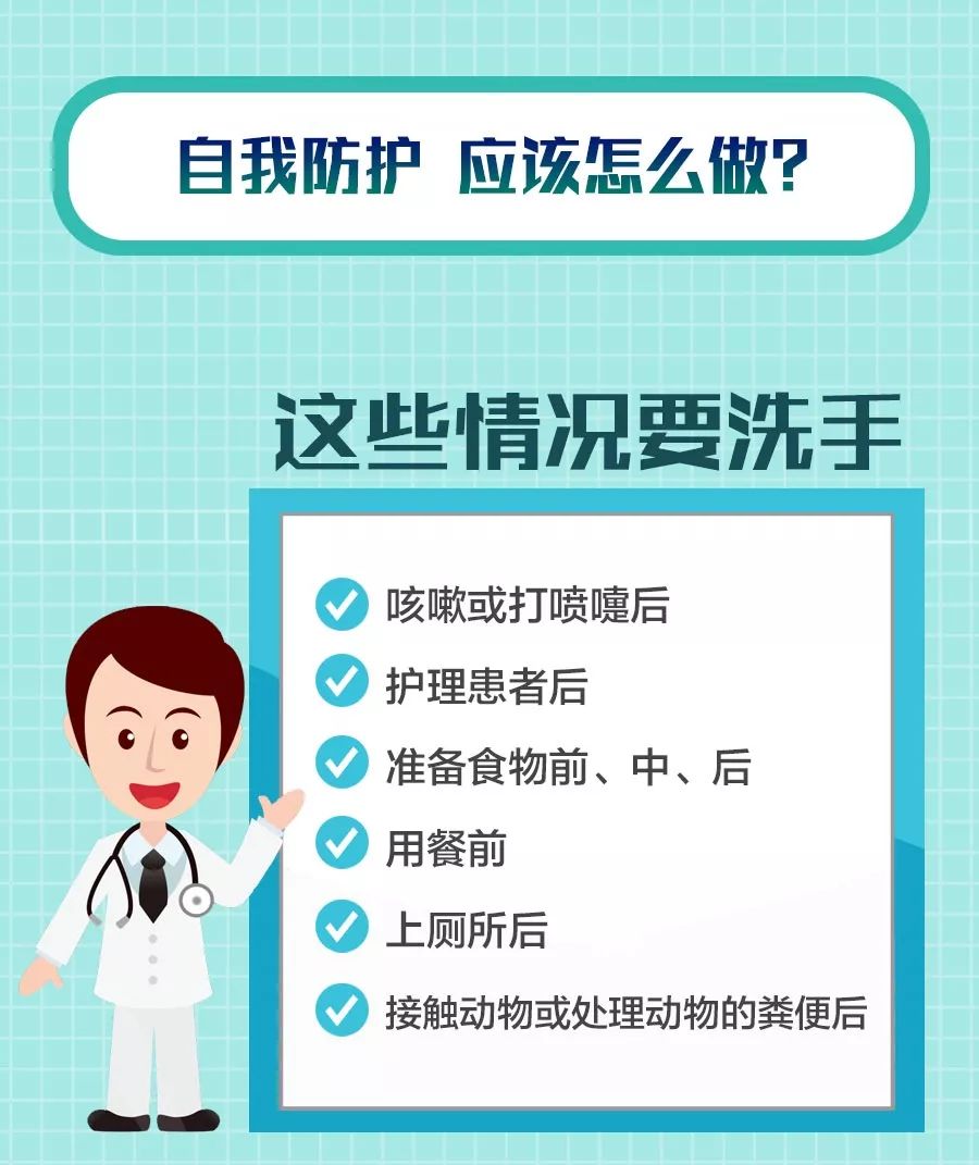 全球新冠型肺炎挑战，实时追踪与应对策略