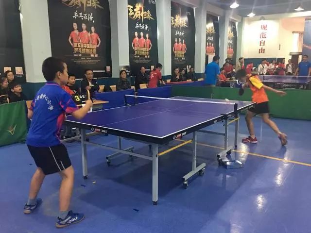 乒乓球实时赛事概览，精彩瞬间回顾与最新赛事动态