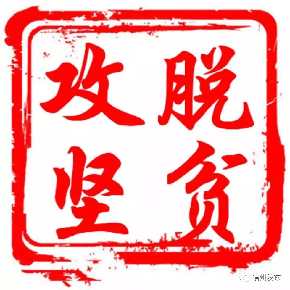 扶贫基础制度落实深度探讨，成效与挑战并存