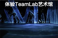独家揭秘，无限魅力的独特潜能，探索无与伦比的无限可能