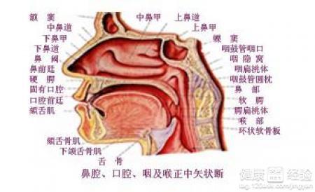 鼻肉瘤术后突发鼻塞，原因解析、处理方法与预防策略