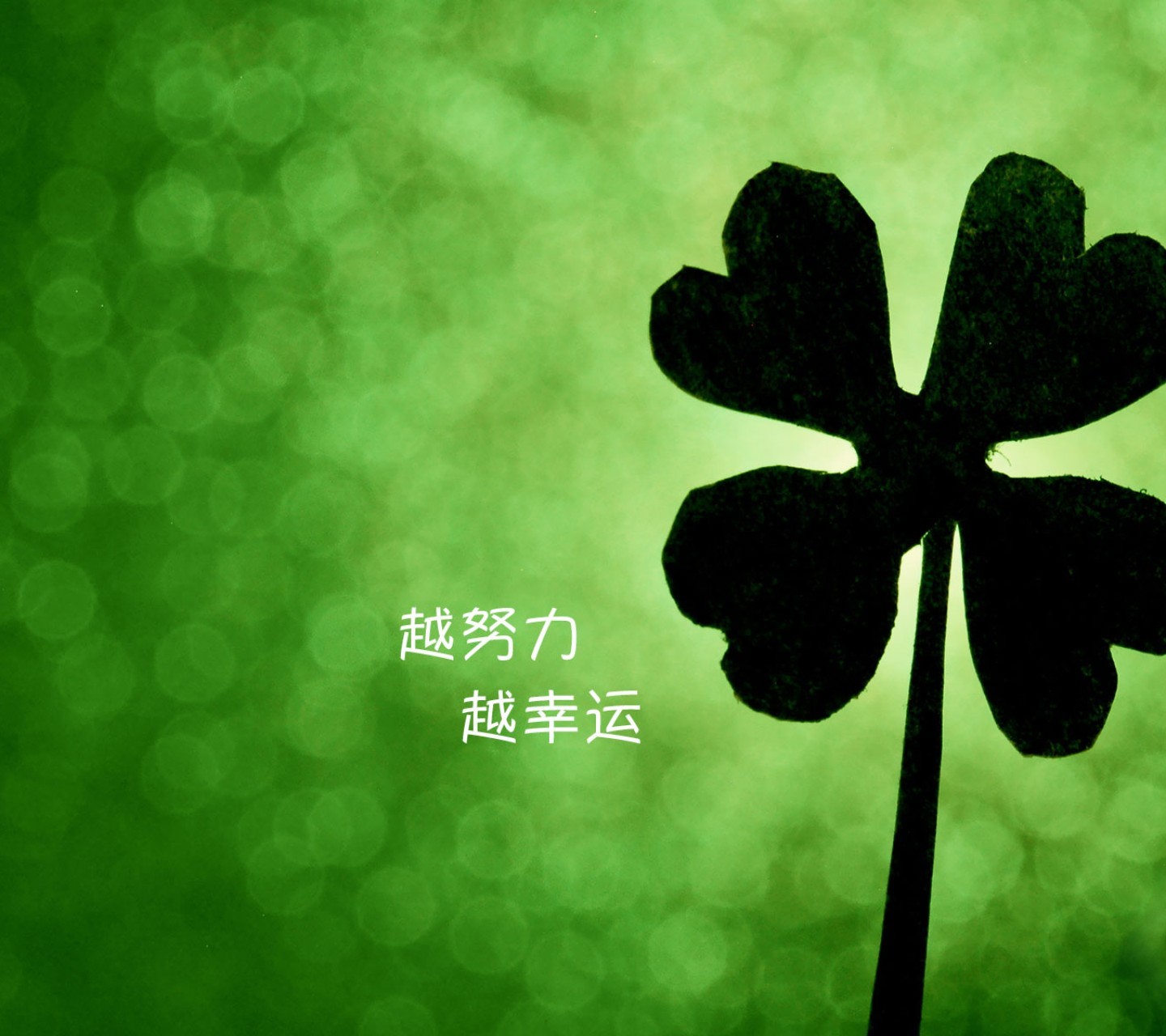 励志短句展现学习力量，奋斗与成长的不竭动力