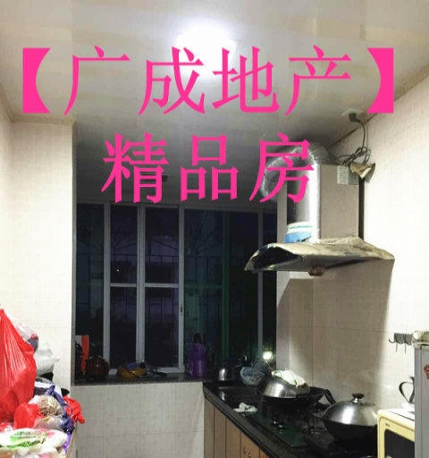 纲挈目张 第3页