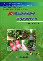 番茄的高效栽培技术视频：番茄栽培步骤 