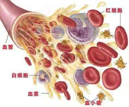 化疗血小板治疗规范：化疗相关血小板减少指南 