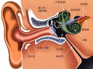 突发性耳聋充血：突发性耳龙聋症状 